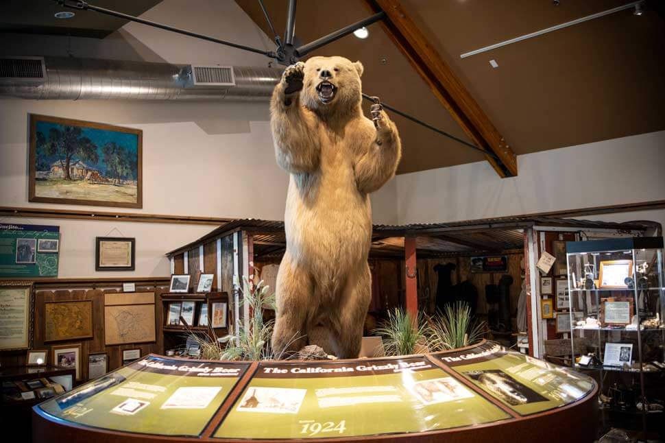 valley center museum bear